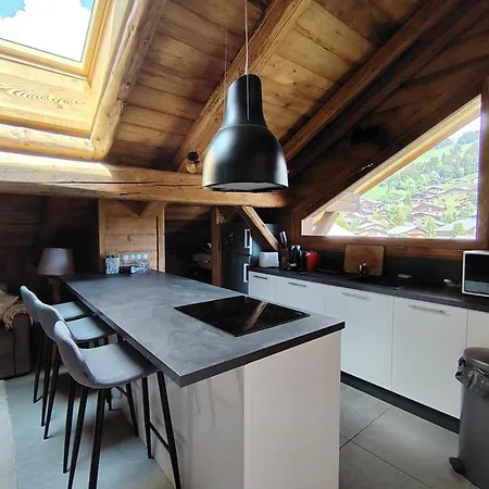 Superbe Duplex, Vue Sur Pistes